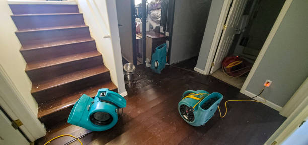 Best Water damage contractors near me  in Oklahoma, PA