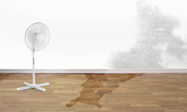 Best Commercial water damage restoration  in Oklahoma, PA