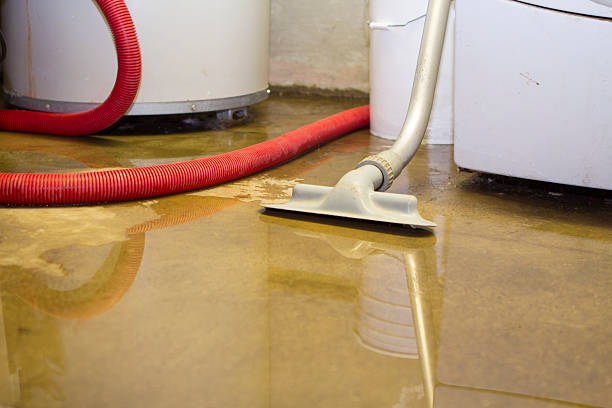 Best Water damage contractors near me  in Oklahoma, PA